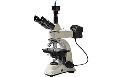 Penetration microscope